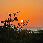 Ikako Beach Club